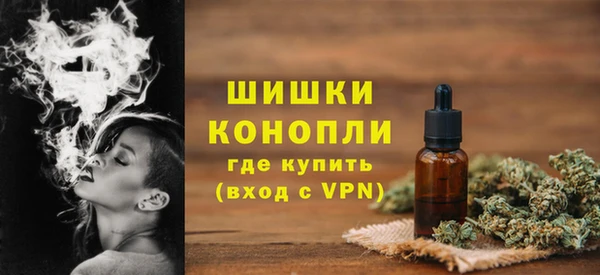 стаф Костерёво