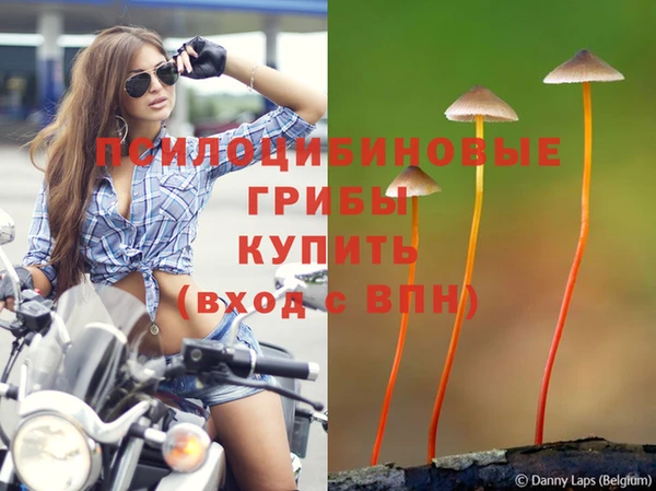 гашиш Корсаков