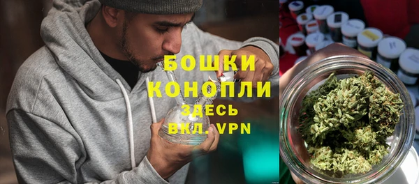 стаф Костерёво