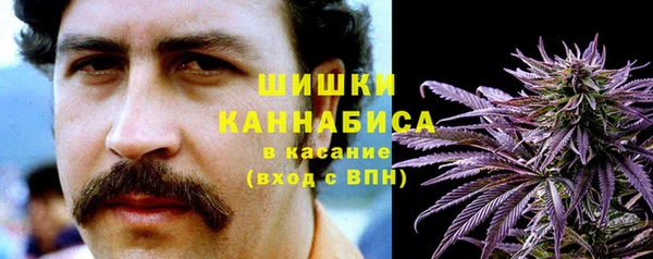 стаф Костерёво