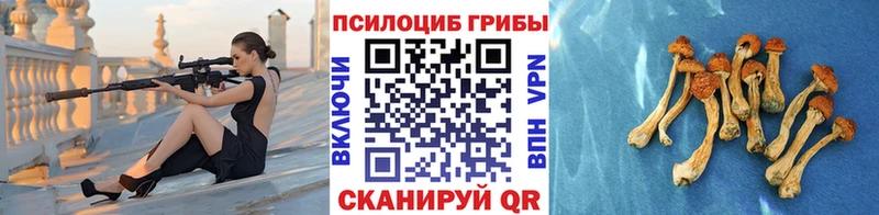 Псилоцибиновые грибы MAGIC MUSHROOMS  Купить закладки  Избербаш 